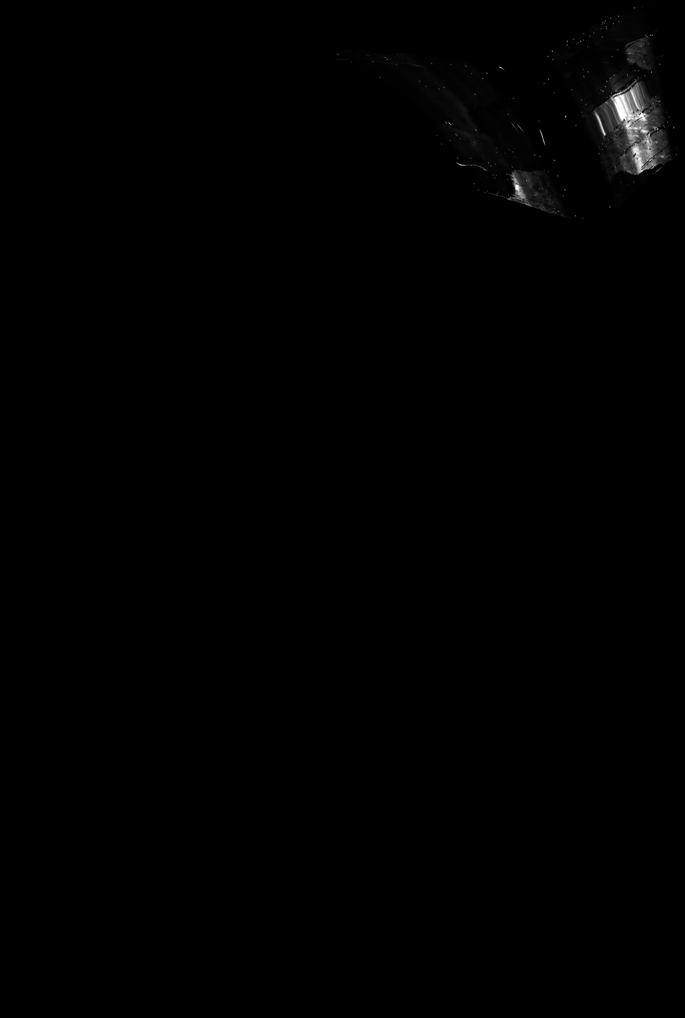 ascat_grayscale_proj_forward.png